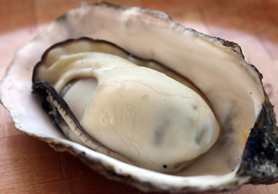 Baking Oyster